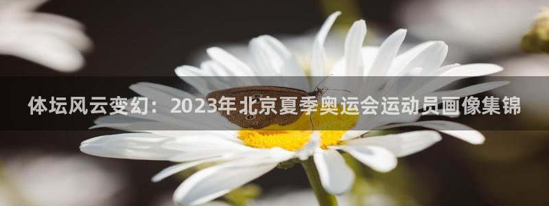 MK体育官网下载注册：体坛风云变幻：2023年北京夏