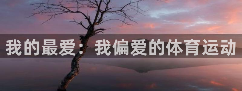MK体育官方平台体育