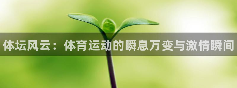 MK体育官网下载招商电话号码是多少啊：体坛风云：体育