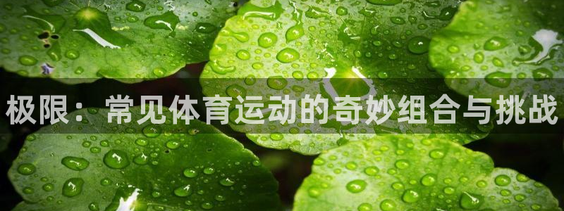 MK体育官网下载联系电话