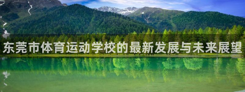 MK体育官网下载招商电话地址是多少