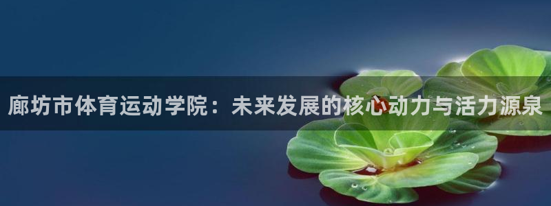 海南MK体育官网下载发展怎么样