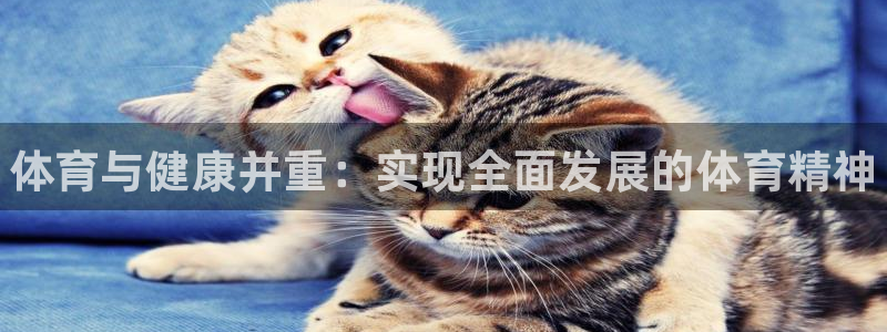 德国MK体育官方正版app集团