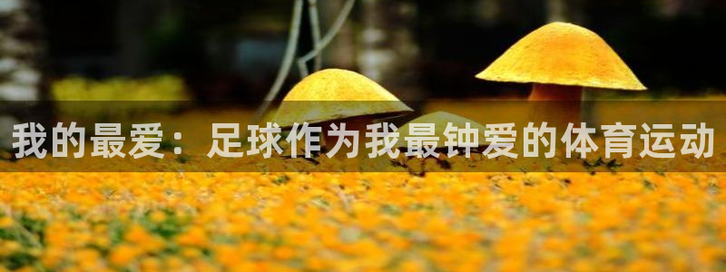 MK体育官网下载平台是正规平台吗：我的最爱：足球作为我最钟爱