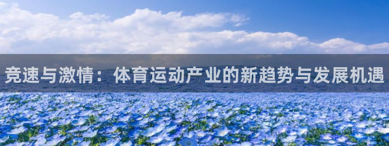 MK体育官网下载招商电话号码是多少啊：竞速与激情：体育运动产