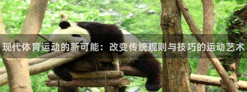 MK体育官网下载招商电话地址是多少：现代体育运动的新可能：改