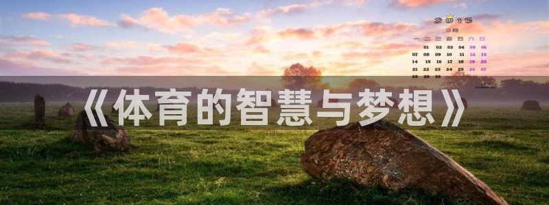 MK体育官方正版app娱乐：《体育的智慧与梦想》