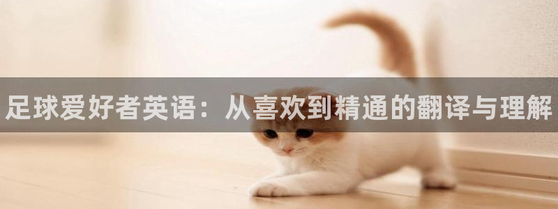 MK体育官网下载平台是正规平台吗安全吗：足球爱好者英语：从喜