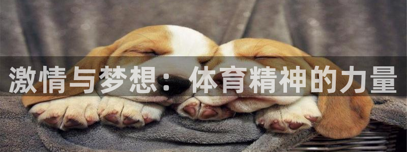 MK体育官方正版app集团logo