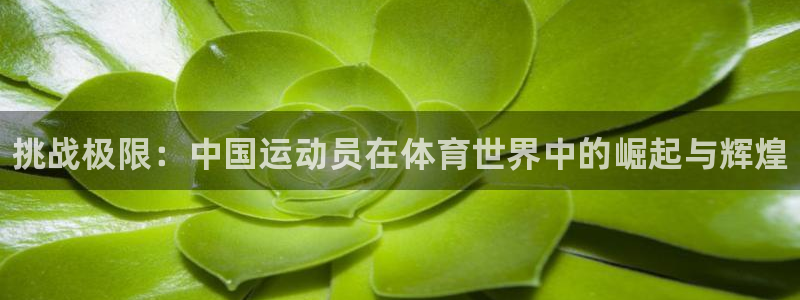 MK体育官方正版app娱乐代理怎么样：挑战极限：中国运动员在
