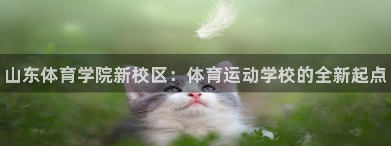 MK体育官方正版app五金厂：山东体育学院新校区：体育运动学