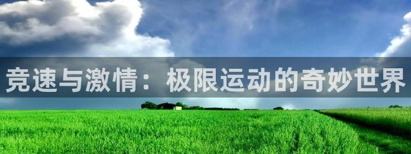 MK体育官网下载招商电话地址是多少：竞速与激情：极限