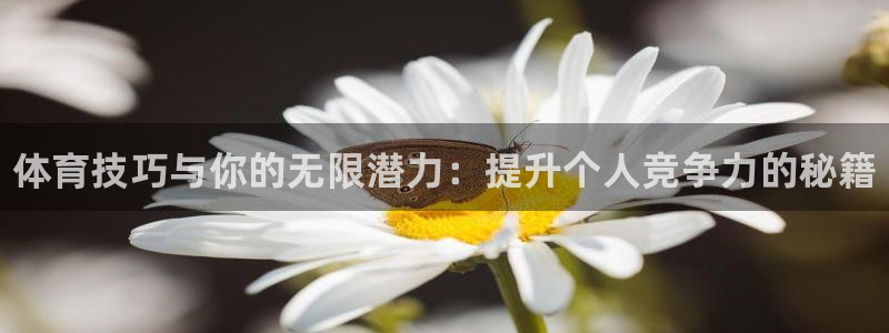 MK体育官网下载招商电话：体育技巧与你的无限潜力：提
