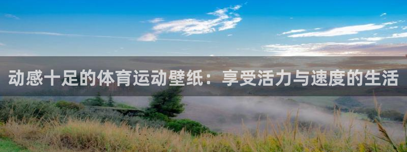 MK体育官网下载平台假的吗是真的吗：动感十足的体育运动壁纸：