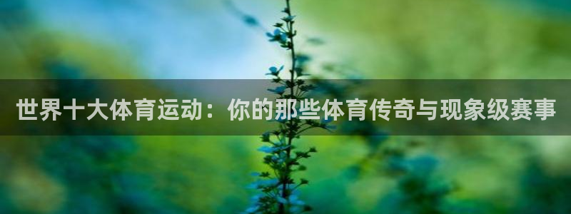 MK体育官方正版app官方：世界十大体育运动：你的那