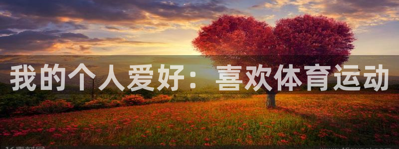 MK体育官网下载平台是正规平台吗知乎：我的个人爱好：
