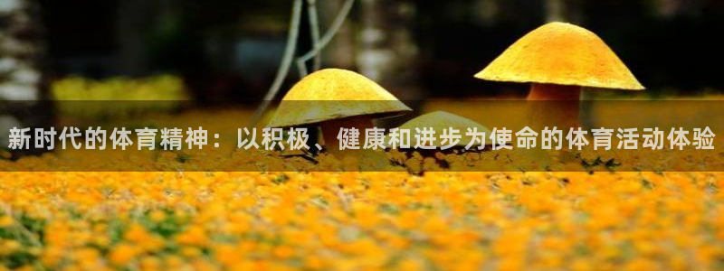 MK体育官方正版app集团简介：新时代的体育精神：以