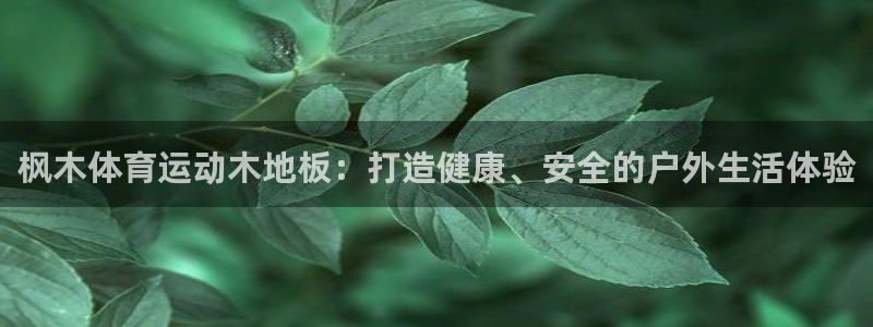 MK体育官方正版app娱乐平台：枫木体育运动木地板：打造健康