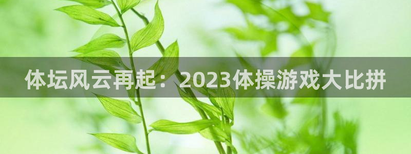 德国MK体育官方正版app集团：体坛风云再起：202