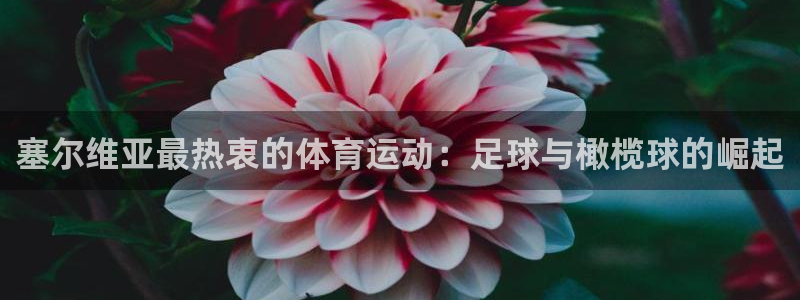 MK体育官方正版app娱乐首页官网下载：塞尔维亚最热衷的体育