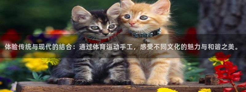 MK体育官方正版app娱乐平台：体验传统与现代的结合