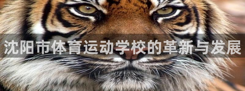 MK体育官方正版app娱乐下载：沈阳市体育运动学校的
