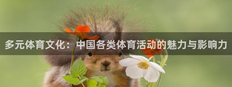 MK体育官方正版app神州：多元体育文化：中国各类体育活动的