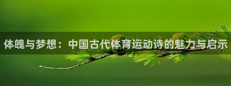 MK体育官方正版app新能源：体魄与梦想：中国古代体育运动诗