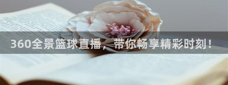 833篮球直播免费高清直播：360全景篮球直播，带你畅享精彩时刻！
