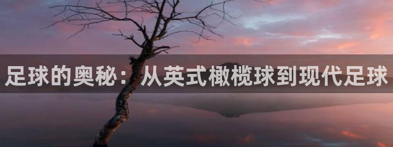 MK体育官方正版app科技：足球的奥秘：从英式橄榄球到现代足