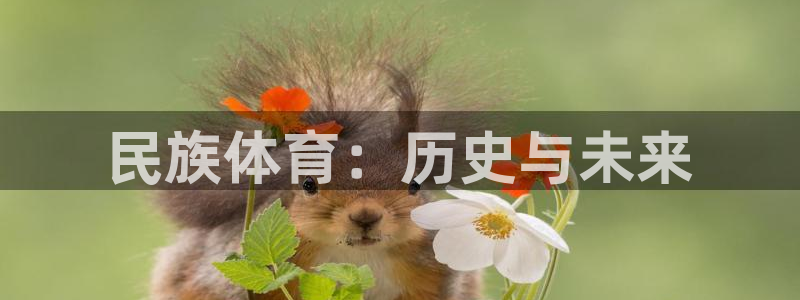 MK体育官网下载招商电话号码查询是多少：民族体育：历史与未来