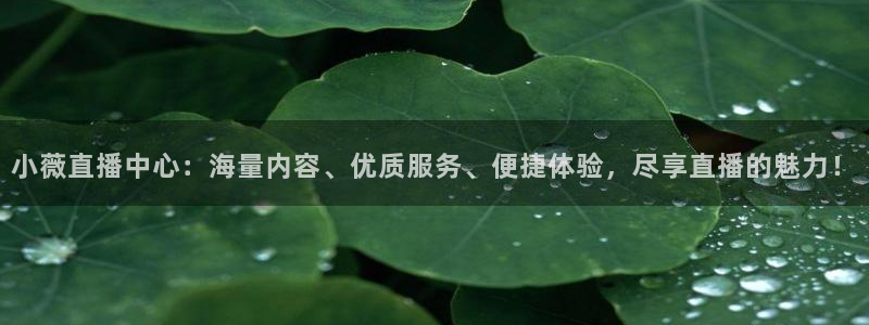 833体育免费直播平台：小薇直播中心：海量内容、优质服务、便捷体验，尽享直播的魅力！