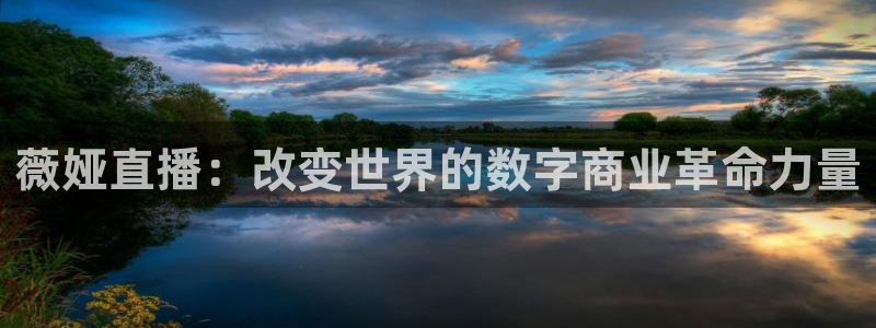 833直播足球比赛在线观看下载：薇娅直播：改变世界的数字商业革命力量
