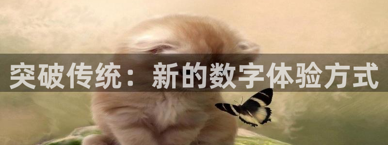833直播足球比赛视频：突破传统：新的数字体验方式