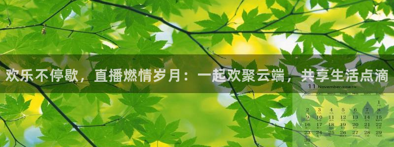 833篮球直播在线直播观看免费：欢乐不停歇，直播燃情岁月：一起欢聚云端，共享生活点滴