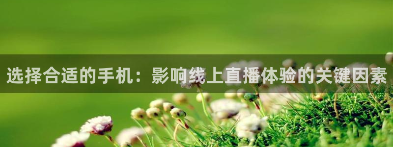 833体育赛事直播app：选择合适的手机：影响线上直播体验的关键因素